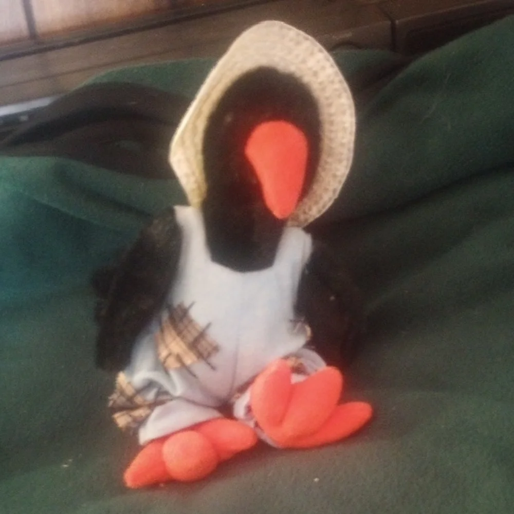 TY Retired Cawley The Crow Plush